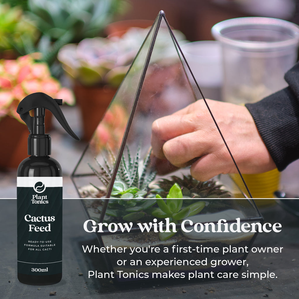 Cactus Feed Spray