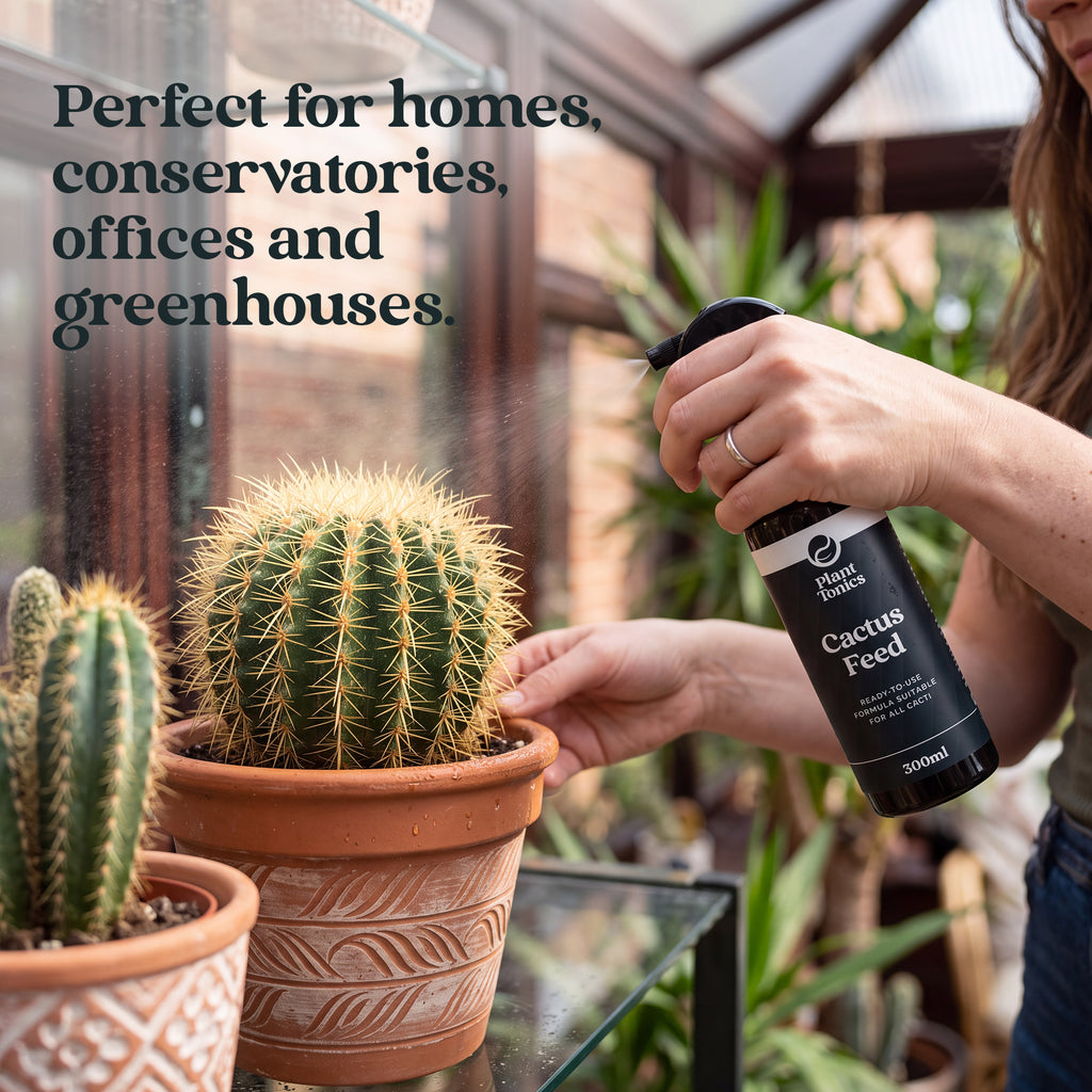 Cactus Feed Spray