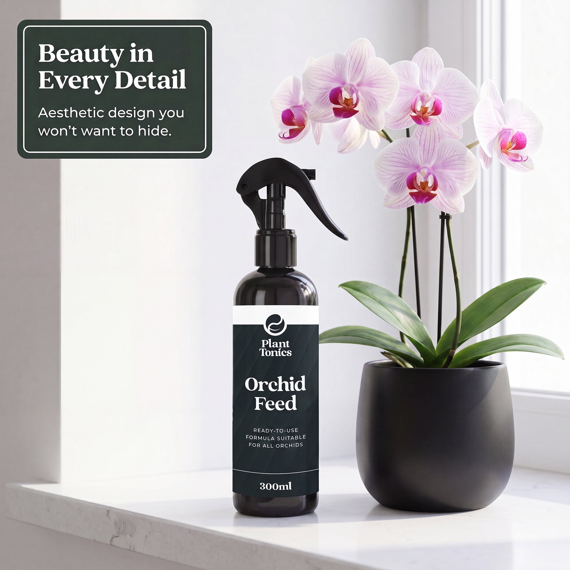 Orchid Feed Spray