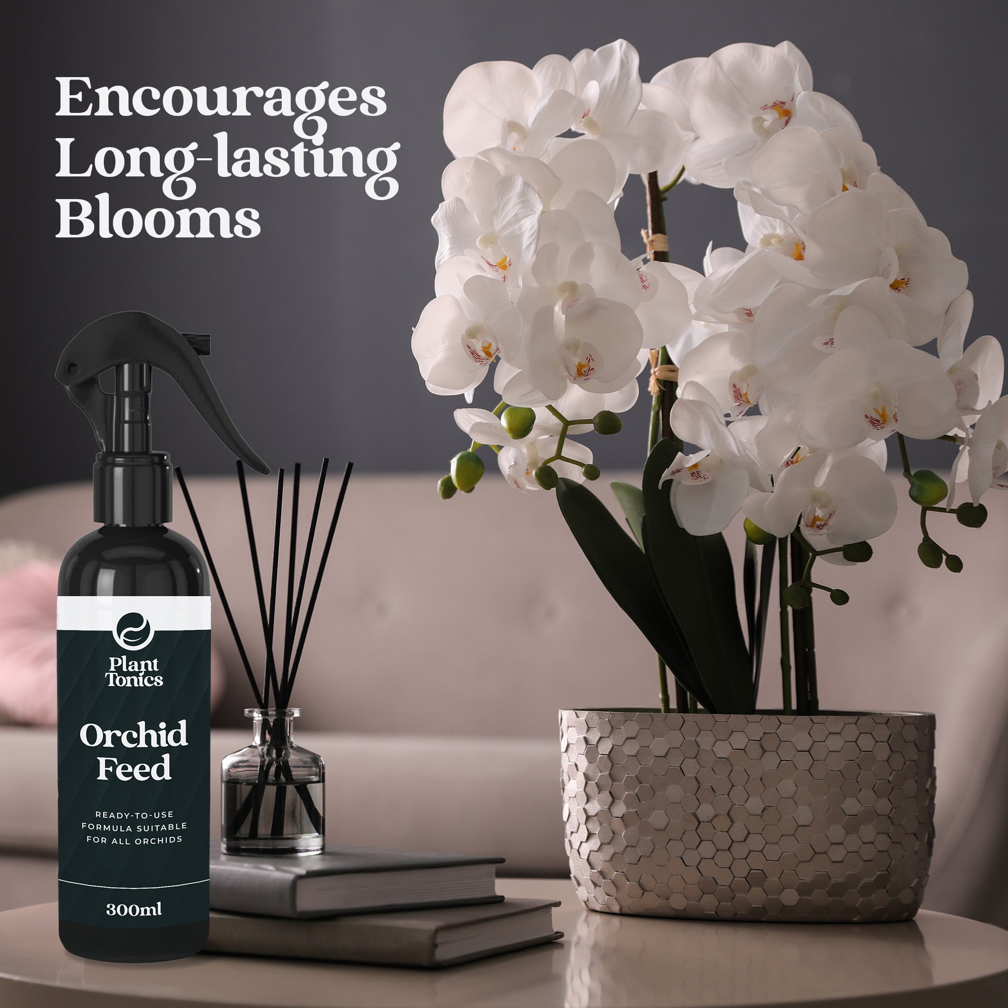 Orchid Feed Spray