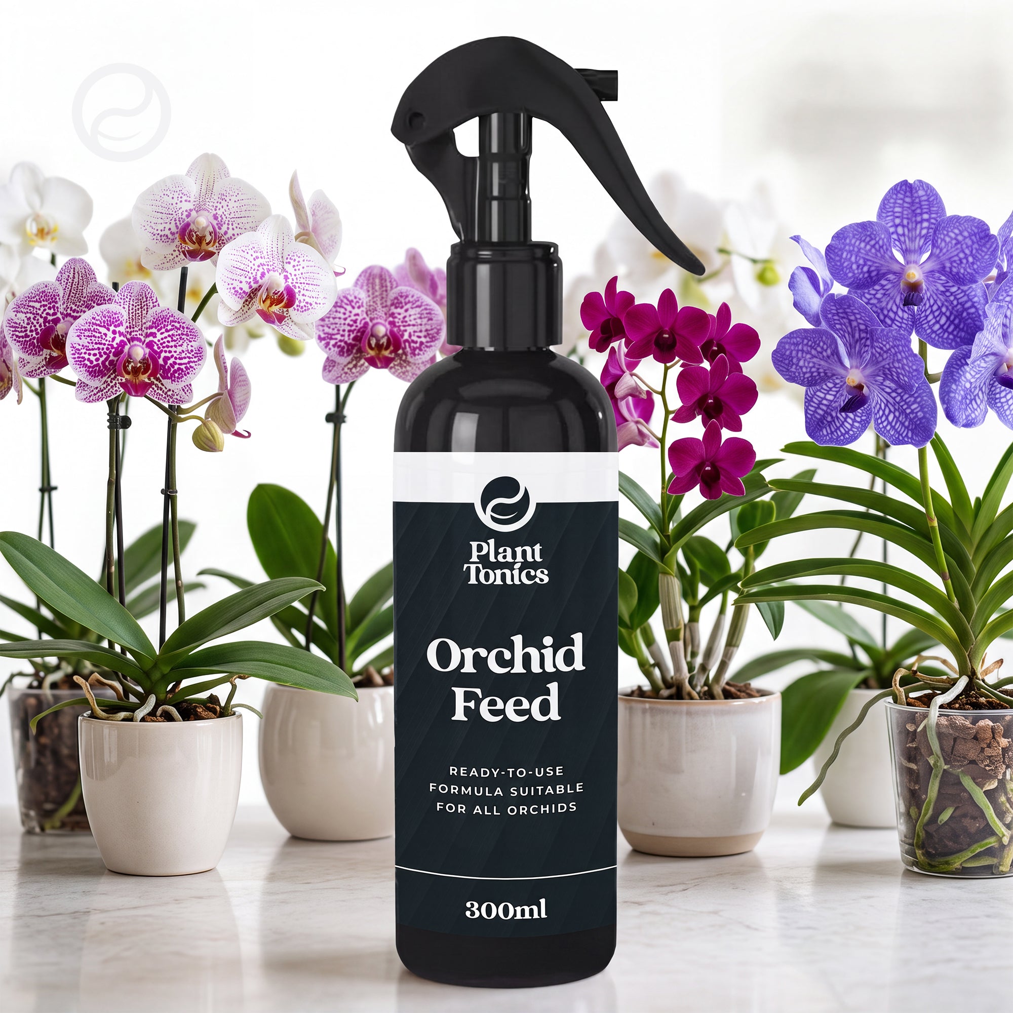 Orchid Feed Spray