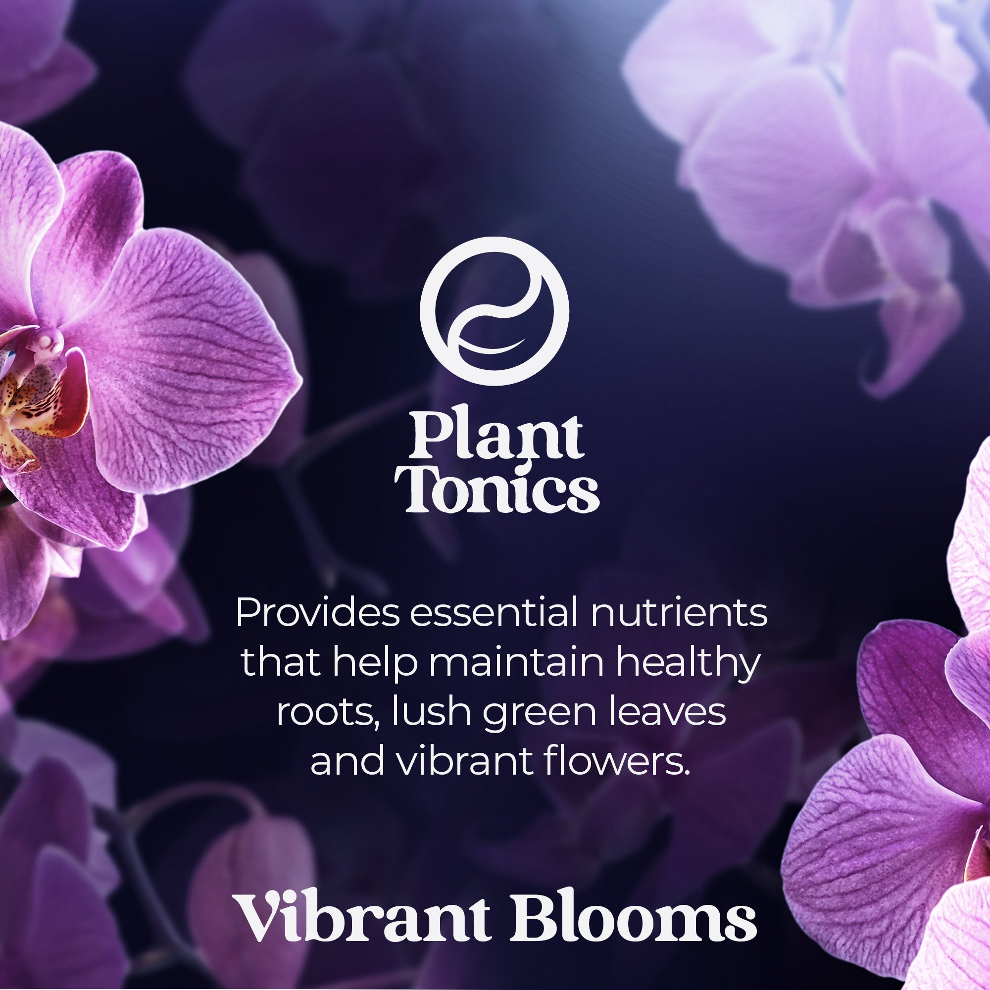 Plant Tonics Orchid Feed ready-to-use 300ml orchid fertiliser spray