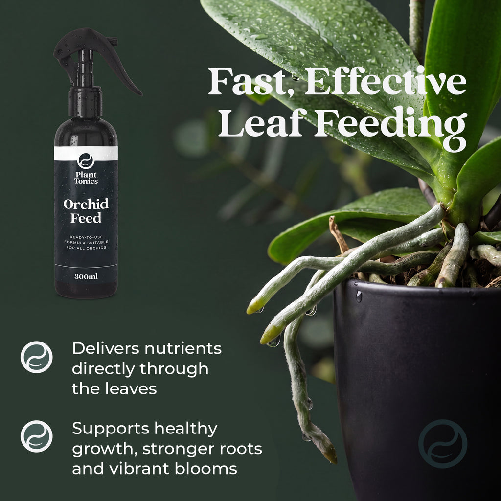 Plant Tonics Orchid Feed ready-to-use 300ml orchid fertiliser spray