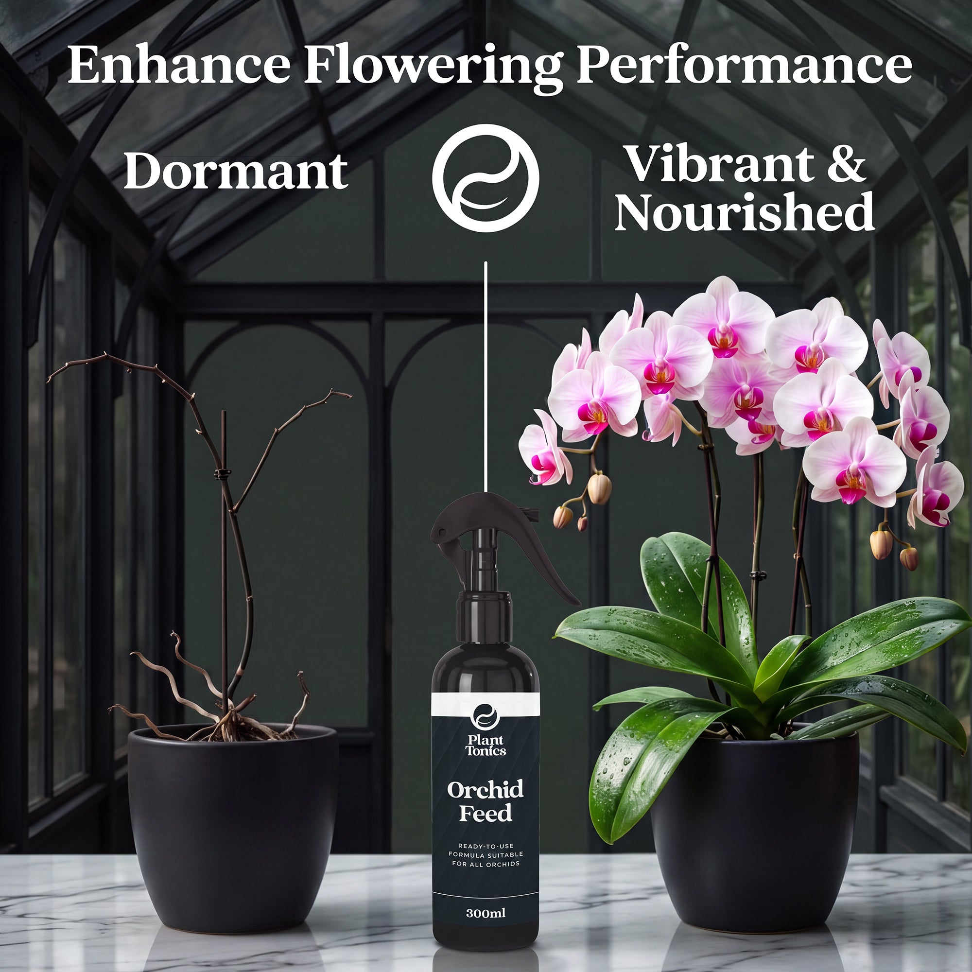 Plant Tonics Orchid Feed ready-to-use 300ml orchid fertiliser spray
