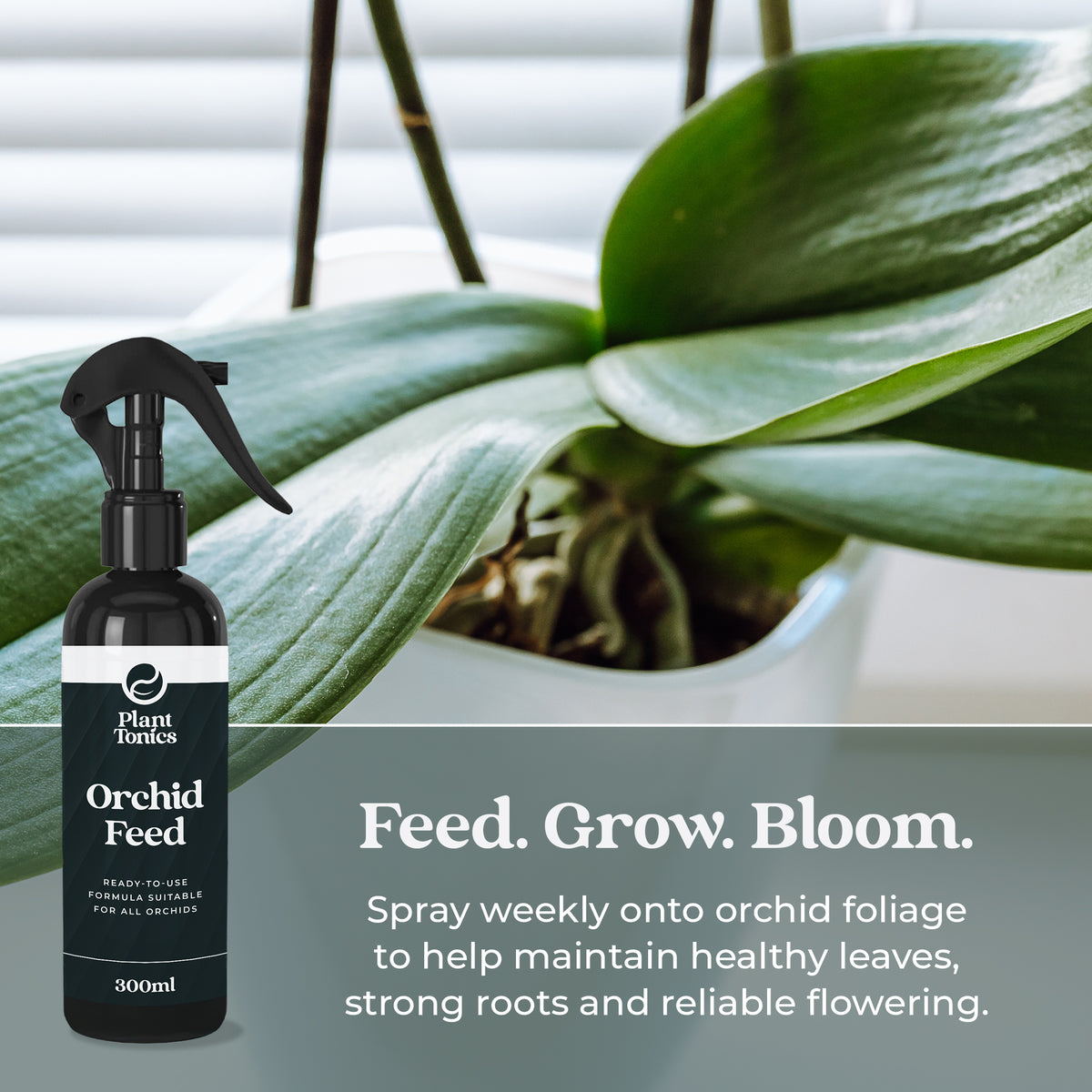 Plant Tonics Orchid Feed ready-to-use 300ml orchid fertiliser spray